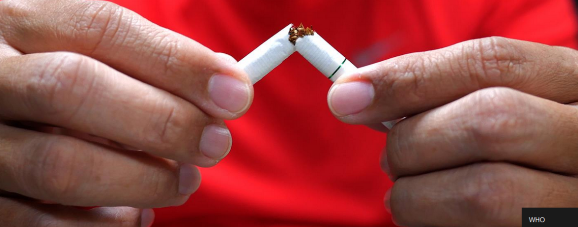 De acordo com a Organização Mundial da Saúde, a causa mais comum de câncer é o uso do tabaco, que representa 25% de todas as mortes por câncer no mundo.